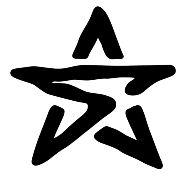 Stealth Bodyboards Logo